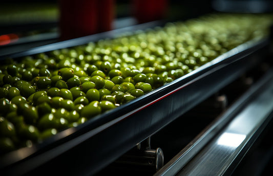 Produzione dell'Olio Extravergine di Oliva: Fasi della produzione e Ruolo del Frantoio nel Processo dell'Olio
