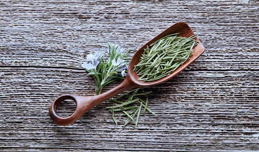 Coltivare il rosmarino: scopri i benefici terapeutici di questa preziosa pianta aromatica