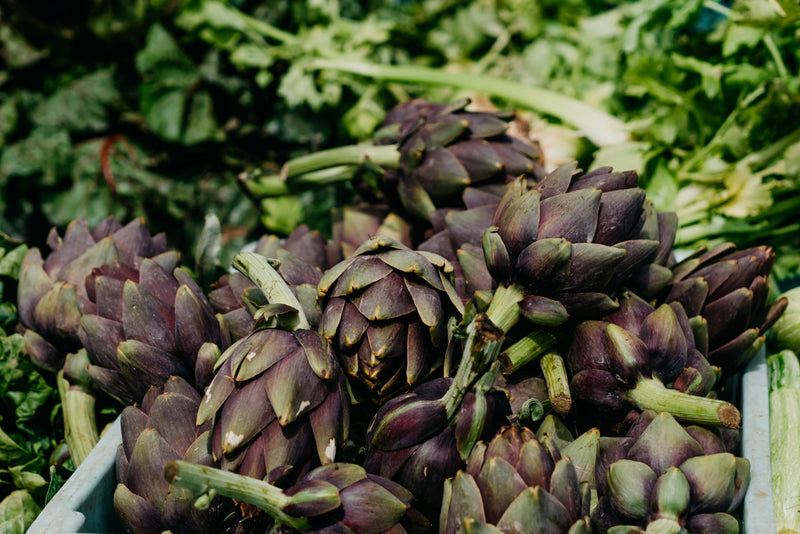 Carciofi del Cilento