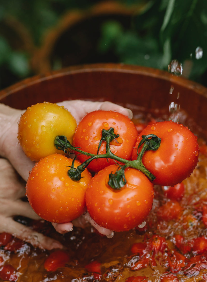 Pomodoro del Cilento per dieta mediterranea